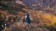 Block the scarab's path (Image via FromSoftware)